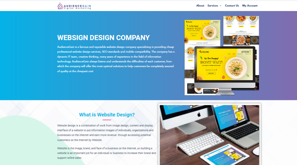a screenshot from audiencegain website showing their web design service