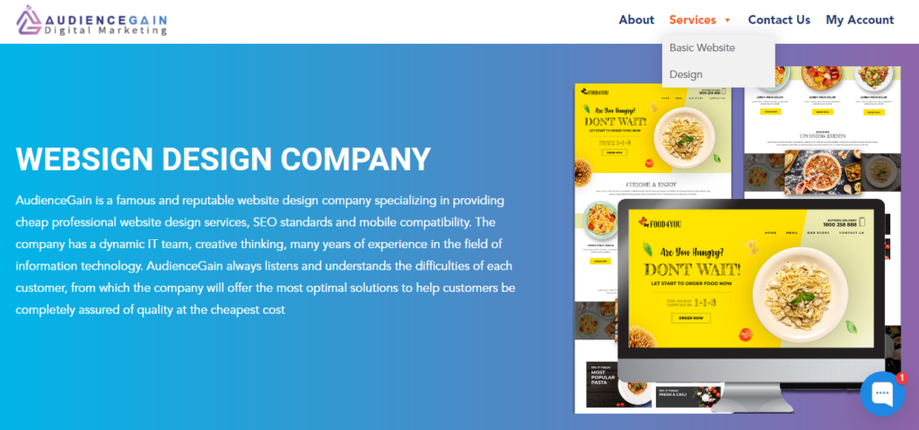 a screenshot from audiencegain website focusing on their menu displaying two services for web design only